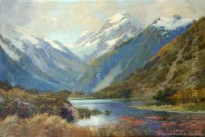 Mt Cook From Red Lake, Hermitage