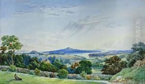 Panorama Of Auckland From Mt Hobson