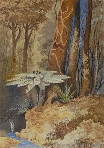 Fern And Stream Study