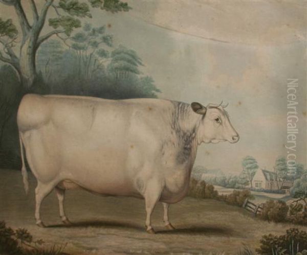 The Habertoft Short Horned Prize Cow - view 1