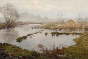Impressie Voorjaar Naardermeer by Frits Hubeek