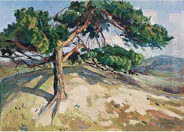 Tree In A Dune Landscape - view 1