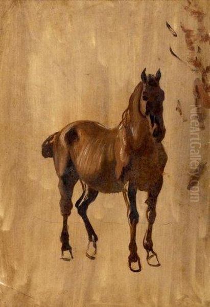 Etude De Cheval - view 1