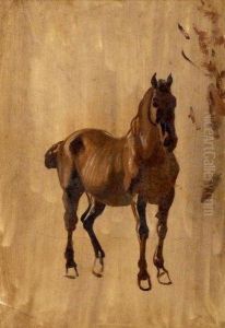 Etude De Cheval by Jean Huber