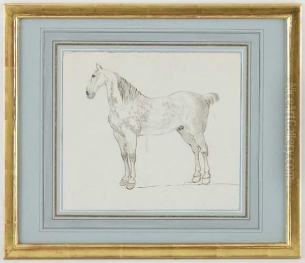 Cheval Gris Pommele - view 1
