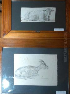 Deux Dessins: Vache Et Chevre Deux Dessins: Vache Et Chevre