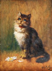 Sitzende Katze Mit Rotem Glockchen-halsband Vor Einer Margarite by Leon Charles Huber