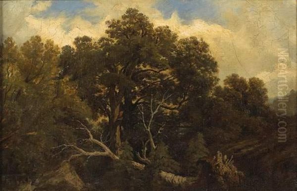 Paysage A L'arbre Deracine - view 1