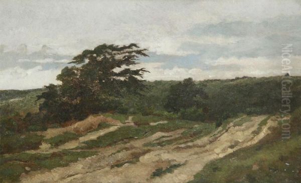 Heathland - view 1