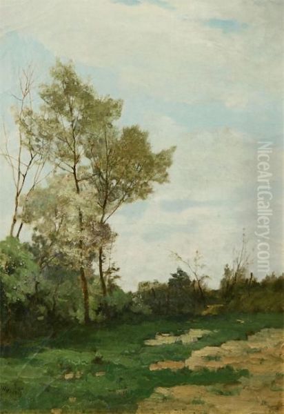 Landscape - view 1