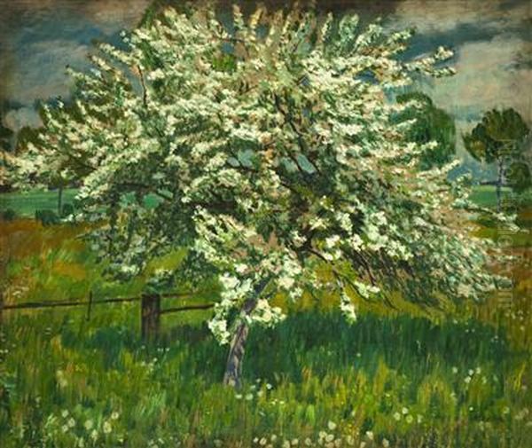 An Apple Tree In Blossom - view 1