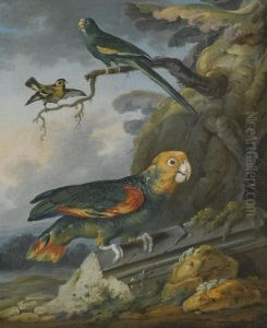 A Parrot, A Perroquet And A Gold Finch At The Base Of A Tree