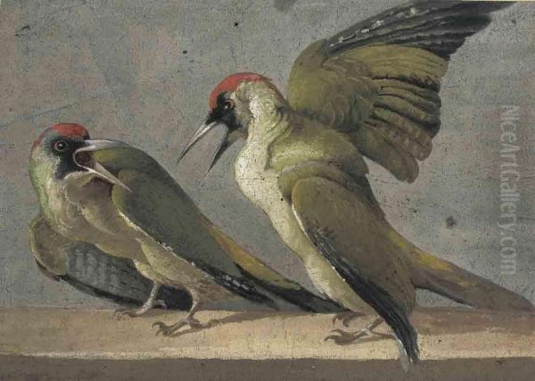 Two Green Woodpeckers - view 1