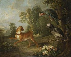 Paisaje Con Un Perro Observando A Dos Loros