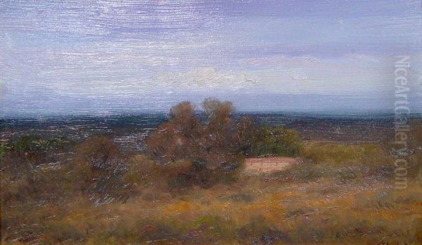 Paysage De Foret - view 1