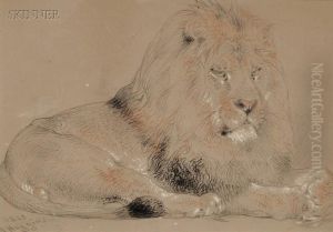 Resting Lion by William Huggins