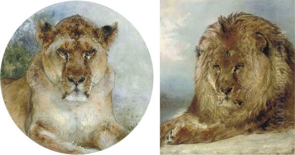 Resting Lion - view 1