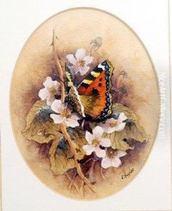 Butterflies Resting On Flowers by Christopher Hughes