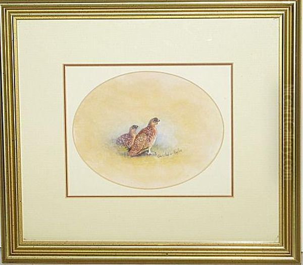 Pheasants - view 1