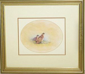 Pheasants by Christopher Hughes