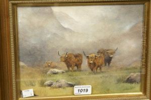 Highland Cattle On A Misty Morn