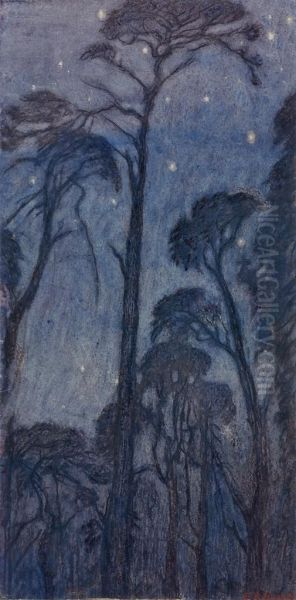 Trees At Twilight - view 1