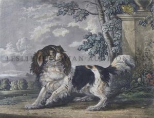 Springer Spaniel by George Hart Hughes