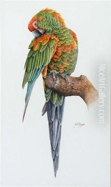 A Parrot On A Tree Stump - view 1