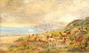 Sheep At Waters Edge