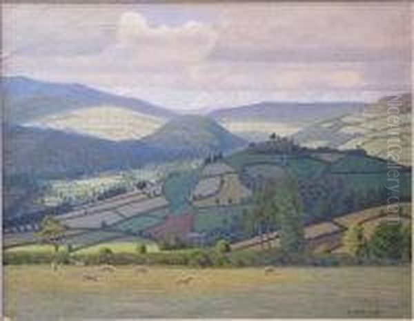 Extensive Landscape - view 1