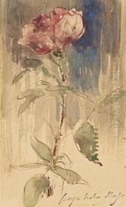 Etude De Rose by Georges-Victor Hugo