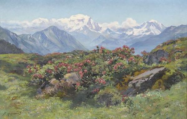 Sommerliche Alp Mit Blick Auf Den Mont-blanc - view 1