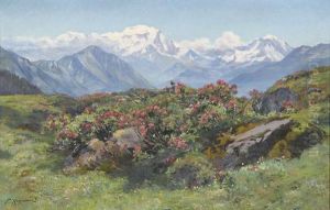 Sommerliche Alp Mit Blick Auf Den Mont-blanc
