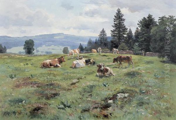 Sommerliche Wiesenlandschaft Mit Weidenden Kuhen. - view 1