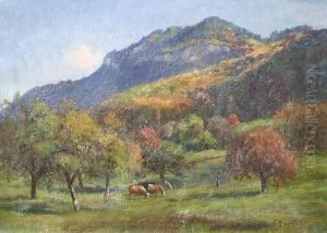Cows Grazing On A Mountainside