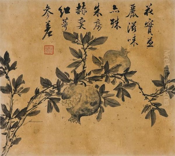 Pomegranates - view 1