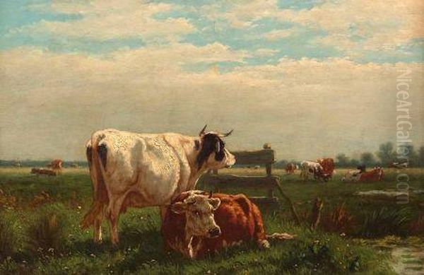 Cattle Grazing In A Meadow - view 1