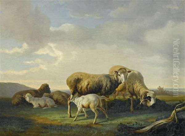 Sheep Grazing - view 1