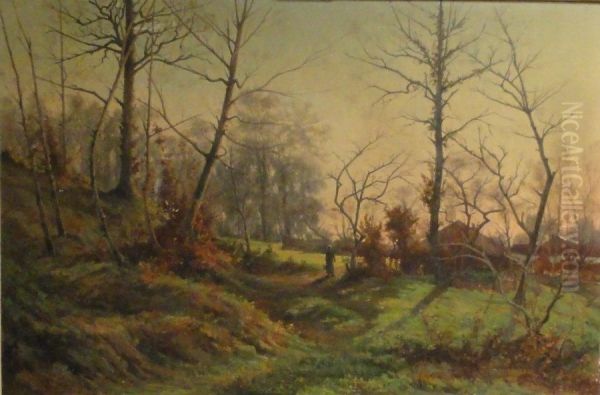 L'oree Du Bois Le Soir A La Folie Haute Marne - view 1