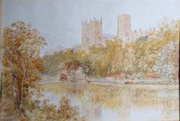 Cattle At The Riverbank Below Durham Cathedral - view 1