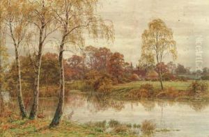 Silver Birch Trees Beside A River With A Cottage In Thedistance