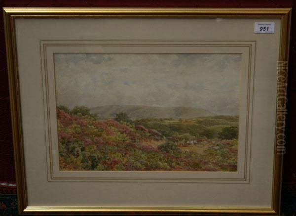 Figure In A Horse And Cart In Extensive Moorland Landscape - view 1
