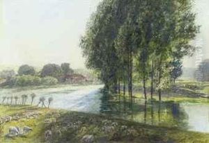 Sheeping Grazing By A River On A Sunlit Afternoon