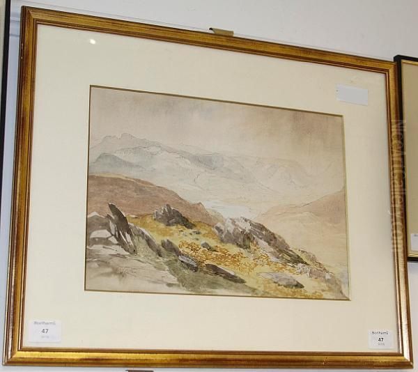 Grasmere - view 1