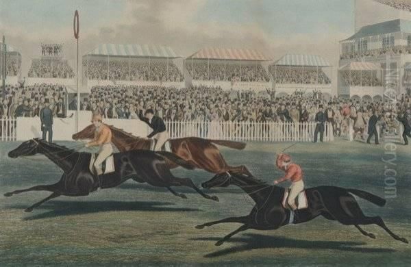 The Derby - view 1