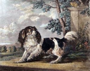 A Kings Charles Spaniel In Landscape by Charles Hunt