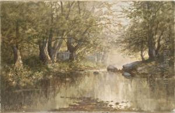 River Through The Woods - view 1