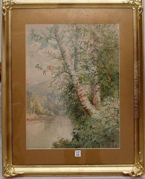 Trees On Ariver Bank - view 1