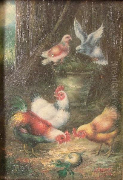 Pigeons And Domestic Fowl In A Farmyard - view 1