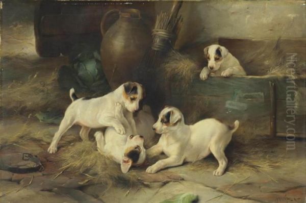Four Puppies At Play - view 1